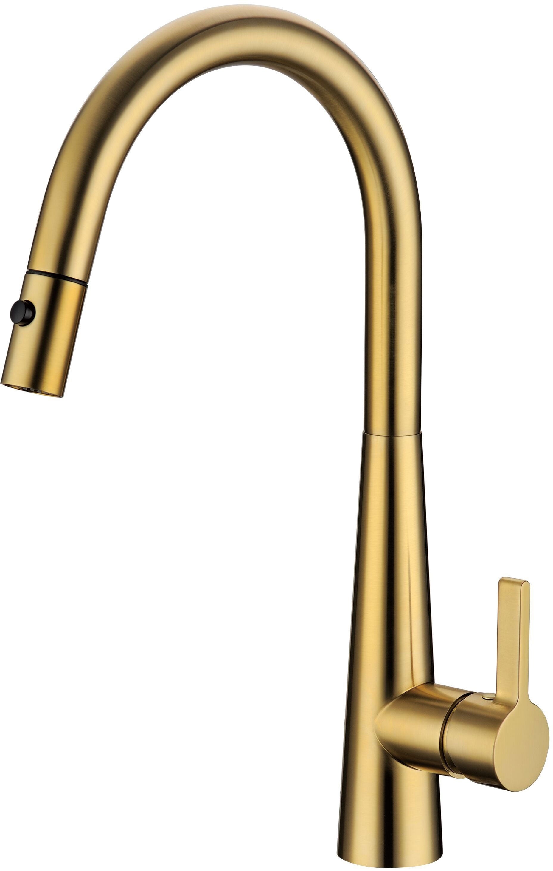 CASA Pull-out Kitchen Mixer Tap Brushed Gold CASA1017SB-BG